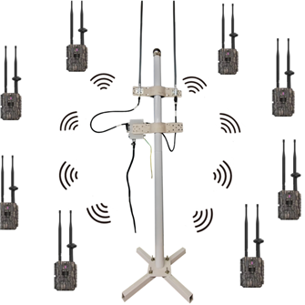 LinkEye private network surveillance system